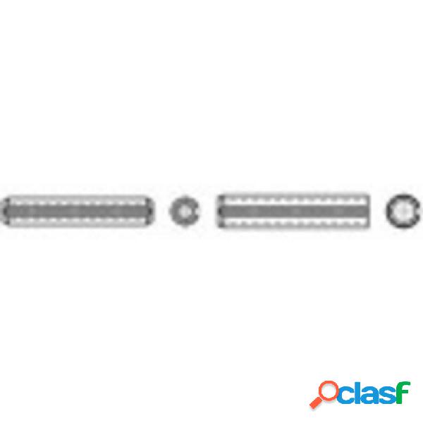 TOOLCRAFT Spine elastiche (Ø x L) 10 mm x 10 mm Acciaio