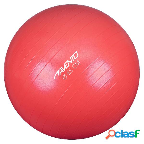 Avento Palla per Fitness/Palestra Diametro 65 cm Rosa