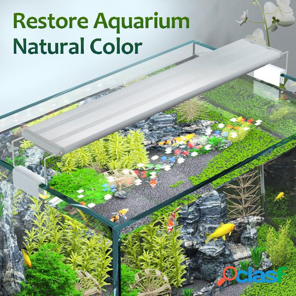 Fish Aquarium Tank Subacqueo Sommergibile Cambia LED