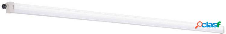 Kanlux TP SLIM Lampada impermeabile 50 W Bianco neutro