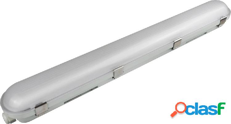 Mlight 81-1332 Lampada LED impermeabile ERP: D (A - G) LED
