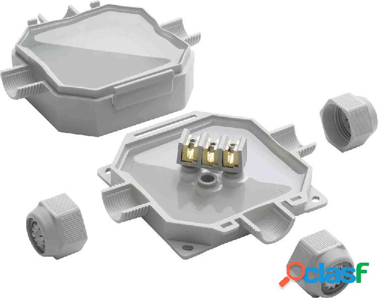 Raytech 84061 Scatola di derivazione (L x L x A) 90 x 90 x
