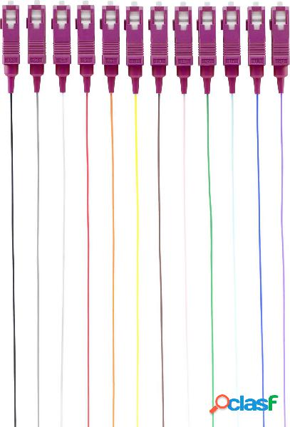 Renkforce RF-3909394 Pigtail a 12 colori 1 pz.