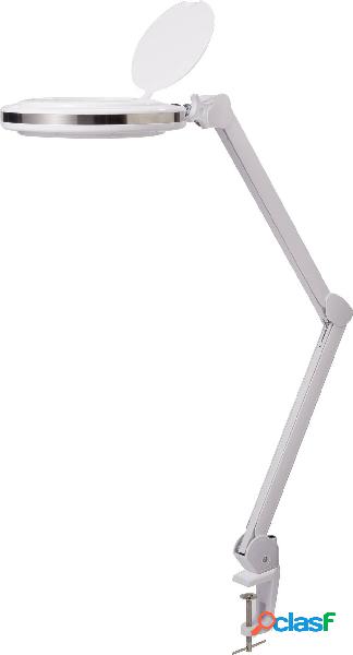 TOOLCRAFT TO-7427310 Lampada LED con lente Ingrandimenti: