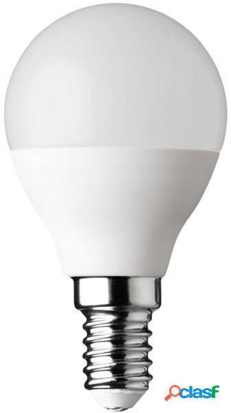 WOFI 5114 LED (monocolore) ERP F (A - G) E14 3 W 1 pz.