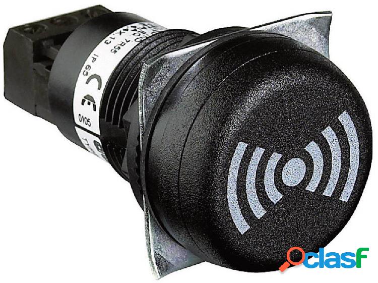 Auer Signalgeräte Buzzer 812510405 ESV Tono continuo, Tono