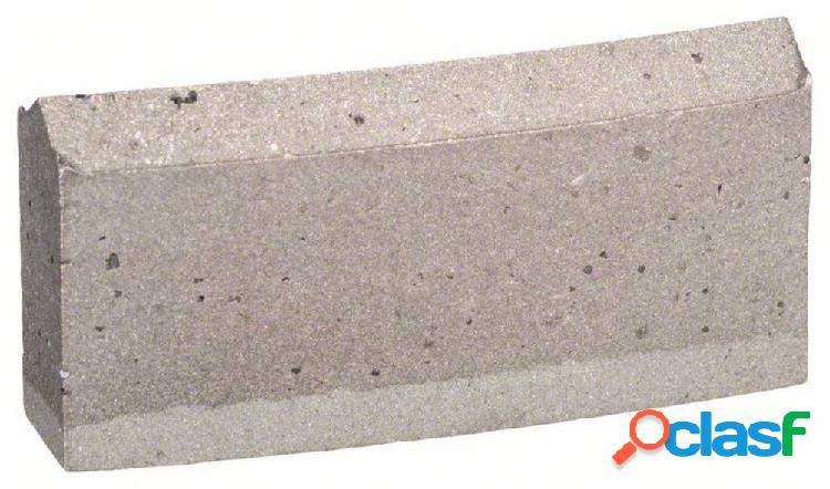 Bosch Accessories 2608601398 2608601398 Segmenti per corone