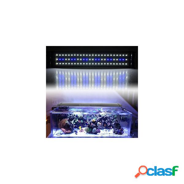 LAMPADA PLAFONIERA HQ LED PER ACQUARI ACQUARIO BORDO VASCA