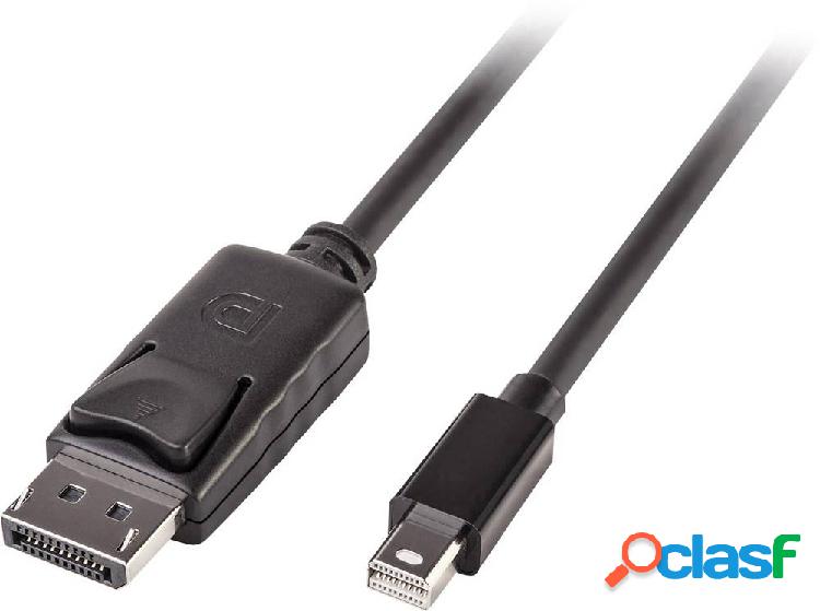LINDY Mini-DisplayPort / DisplayPort Cavo adattatore Spina