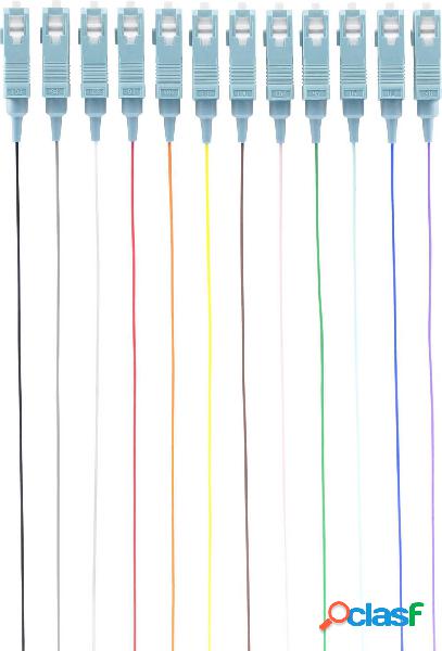 Renkforce RF-3909396 Pigtail a 12 colori 1 pz.