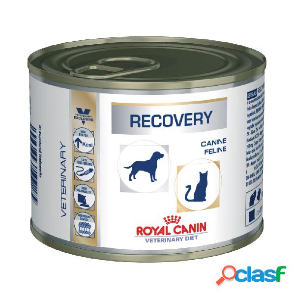 Royal Canin Veterinary Diet Dog e Cat Recovery 195 gr