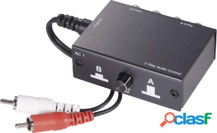 SpeaKa Professional 2 Porte Switch audio RCA