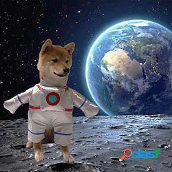 pet halloween dress up costumi cosplay costumi astronauta