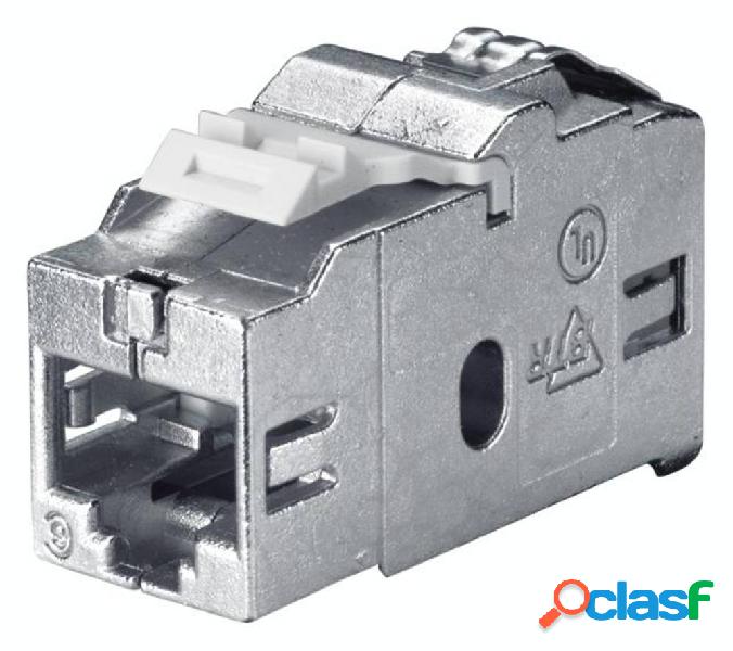Bachmann RJ45 Rete Adattatore CAT 6 [1x Presa RJ45 - 1x