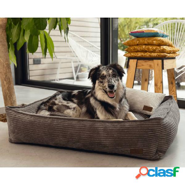 Designed by Lotte Cuccia per Cani a Coste Marrone 65x60x20