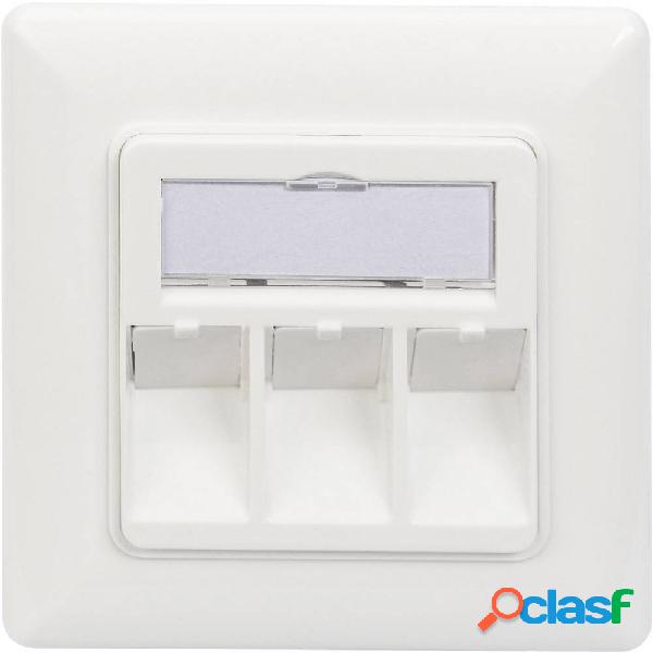 Digitus DN-93821 Supporto per Keystone 3 scomparti Bianco