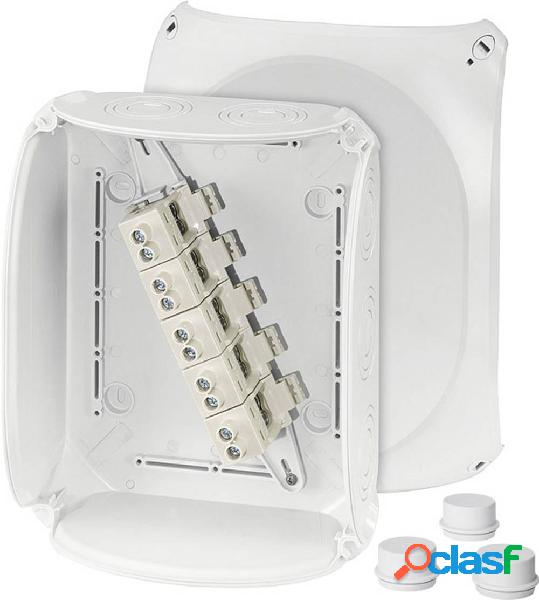 Hensel 62000016 Cassetta di derivazione (L x L x A) 112 x