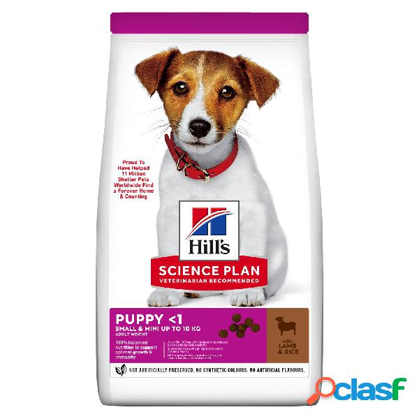 Hills Science Plan Dog Adult Small&Mini cib Agnello e riso
