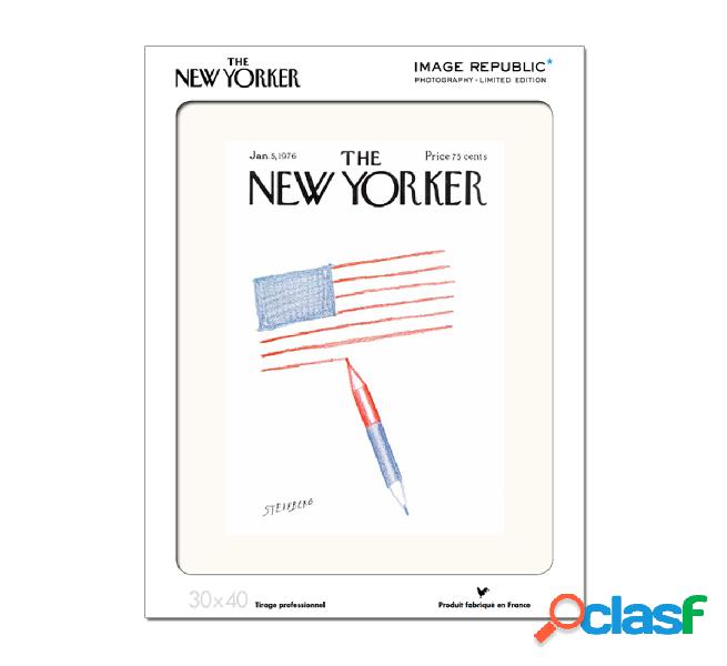 Image Republic The.New Yorker 06 Steinberg