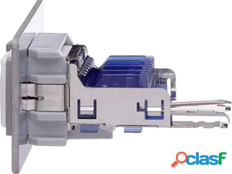 Oehlbach MMT CAT 6 RJ45 Inserto multimedia con cambio di