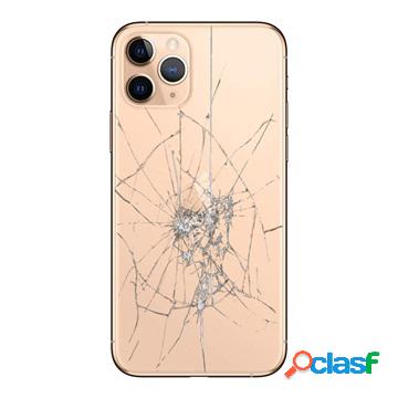 Riparazione della cover posteriore di iPhone 11 Pro - Solo