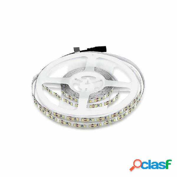 STRISCIA LED 2835 STRIP 5MT BOBINA LUCE 3000K 4000K 6500K