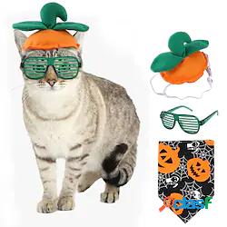 nuovi prodotti per halloween pet festival divertente vestire