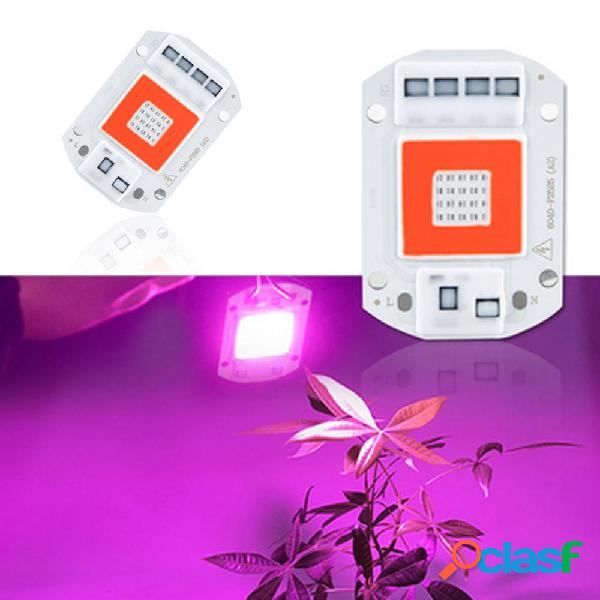 AC110V / AC220V 20W 30W 50W Full Spectrum Rosso e Blu LED