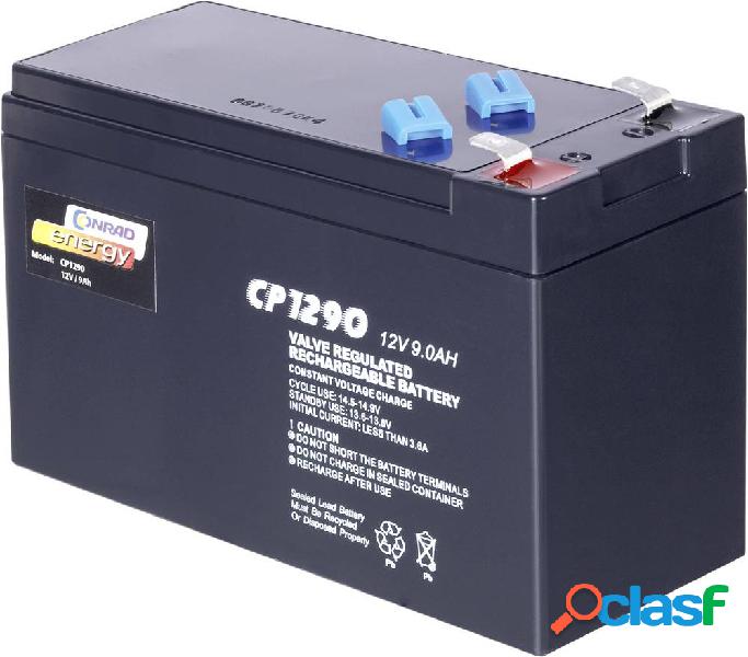 Conrad energy 12 V 9 Ah 250915 Batteria al piombo 12 V 9 Ah