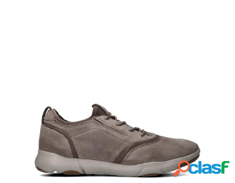 GEOX uomo beige