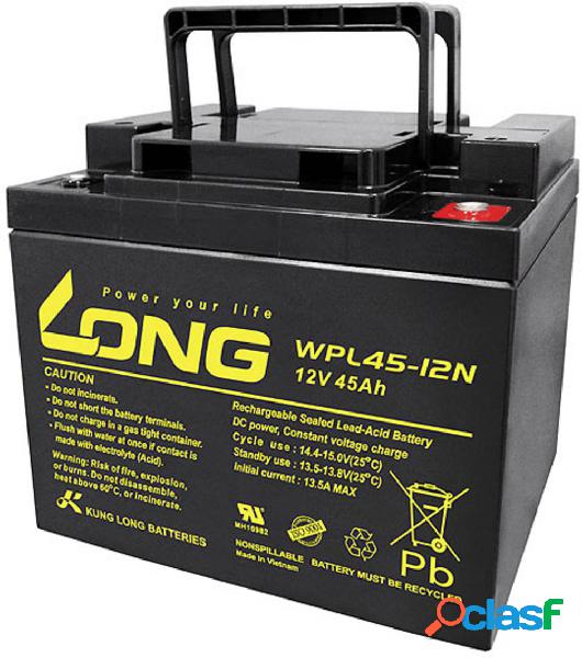 Long WPL45-12 WPL45-12 Batteria al piombo 12 V 45 Ah