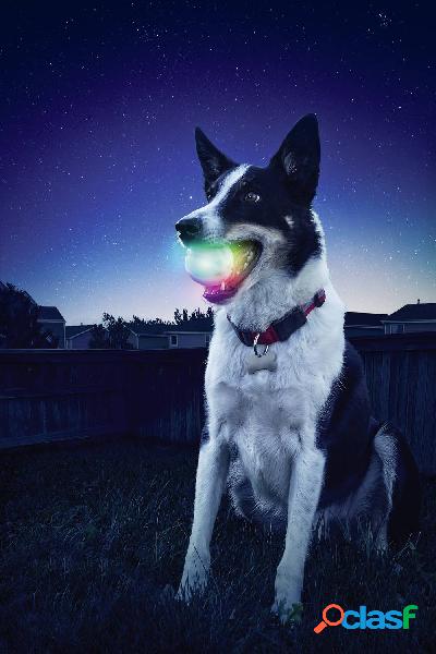 NITE Ize GlowStreak Palla di lancio a LED Trasparente 1 pz.