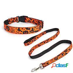 halloween pet zucca colorata pipistrello halloween fantasma