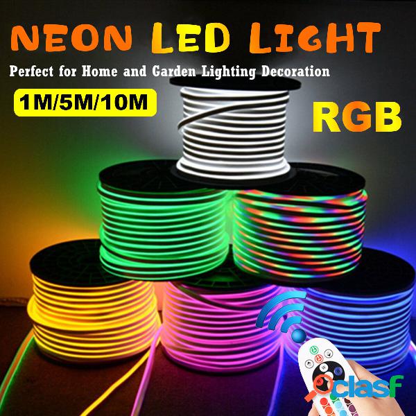 1M/5M/10M 220V 5050RGB LED Striscia 60LED/M Nastro