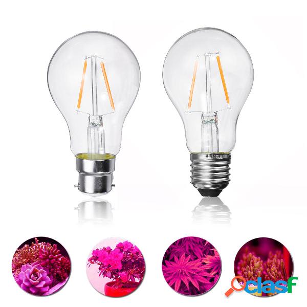 2W E27 B22 A60 LED Pianta Grow Light Bulb per serra