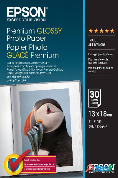 Epson Premium Glossy Photo Paper C13S042154 Carta