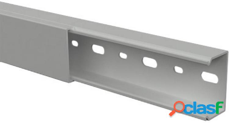 GGK 2861 Canalina passacavi (L x L x A) 2000 x 40 x 27 mm 1