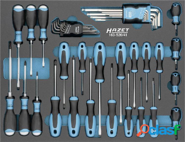 Hazet 163-526/41 Kit cacciaviti