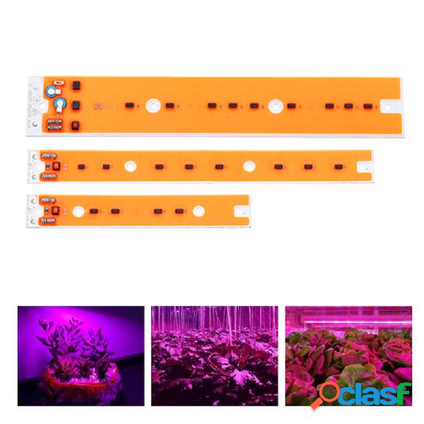 AC110V / 220V 30W 50W 80W Full Spectum LED COB Chip Grow