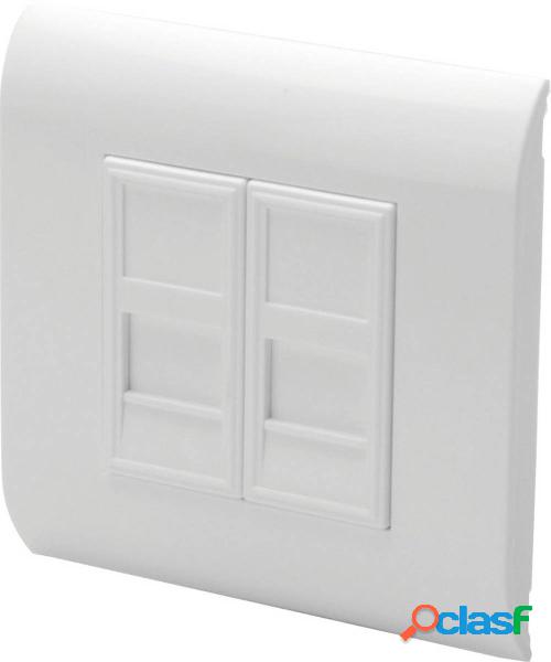 Digitus DN-93802 Supporto per Keystone 2 scomparti Bianco
