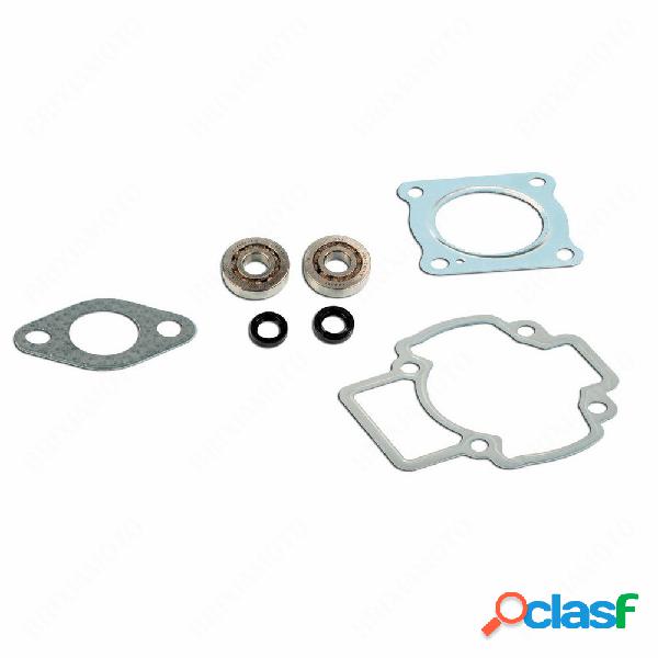 Kit cuscinetti skf +guarnizioni air 075103