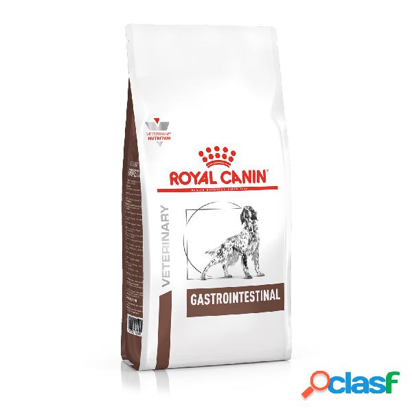 Royal Canin Veterinary Diet Dog Gastrointestinal 15 kg