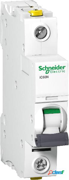 Schneider Electric A9F03116 Schneider Electric Interruttore