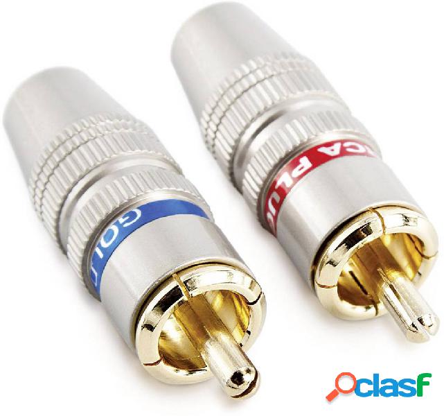 Sinuslive CS-2 Spina RCA