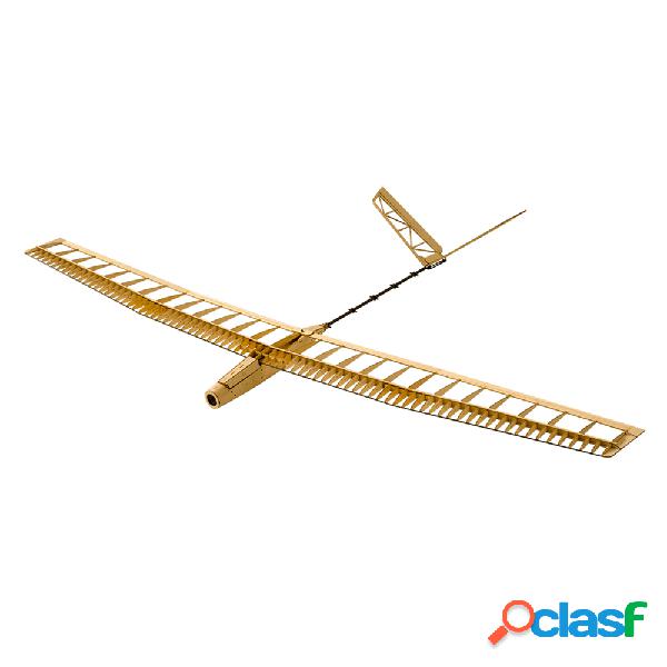Dancing Wings Hobby F14 U-ZI 1400 mm di apertura alare in