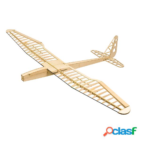 Dancing Wings Hobby F16 Sunbird V2.0 1600 mm di apertura