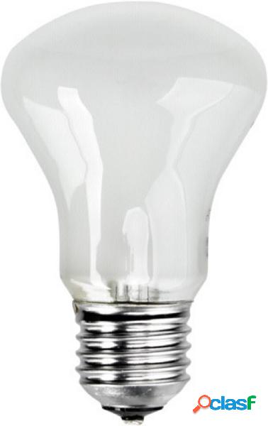 Elinchrom Elinchrom Einstellampe 196V/100W E 27 E23002