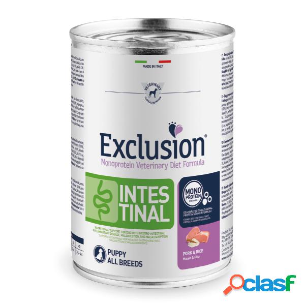 Exclusion Monoprotein Veterinary Diet Puppy Intestinal Pork