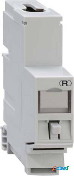Rutenbeck UM-Cat.6A iso-REG Adattatore di montaggio REG.