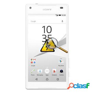 Sony Xperia Z5 Compact Diagnosi